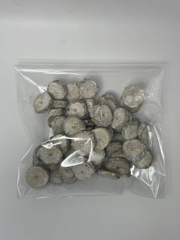 Knutselzakje Houten Schijfjes mini Wit