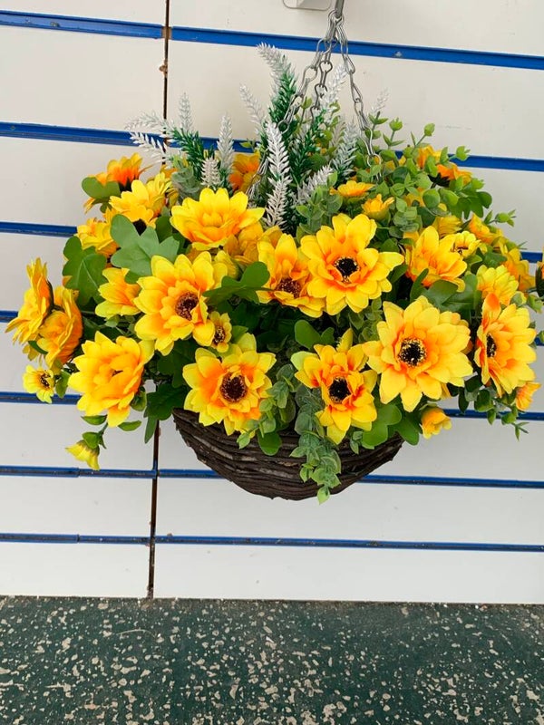 Sunflower hanging basket
