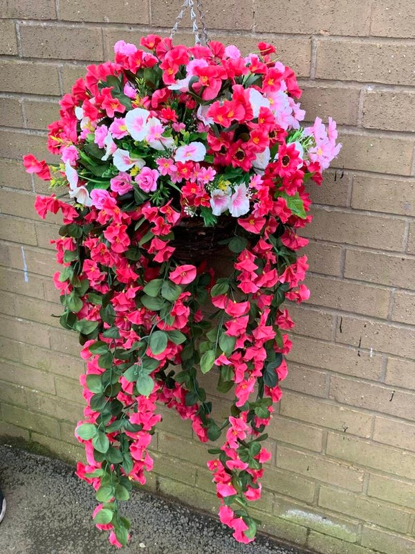 Purple hanging large baskets