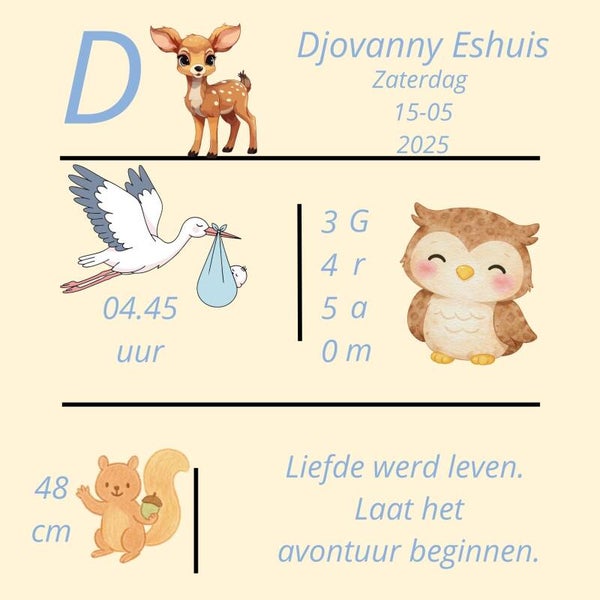 Geboorte tegel jongen