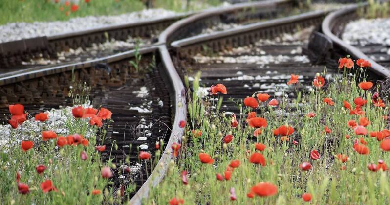 Je partner krijgt de diagnose autisme, hoe blijf je samen op hetzelfde spoor? Over de relatie na de diagnose,