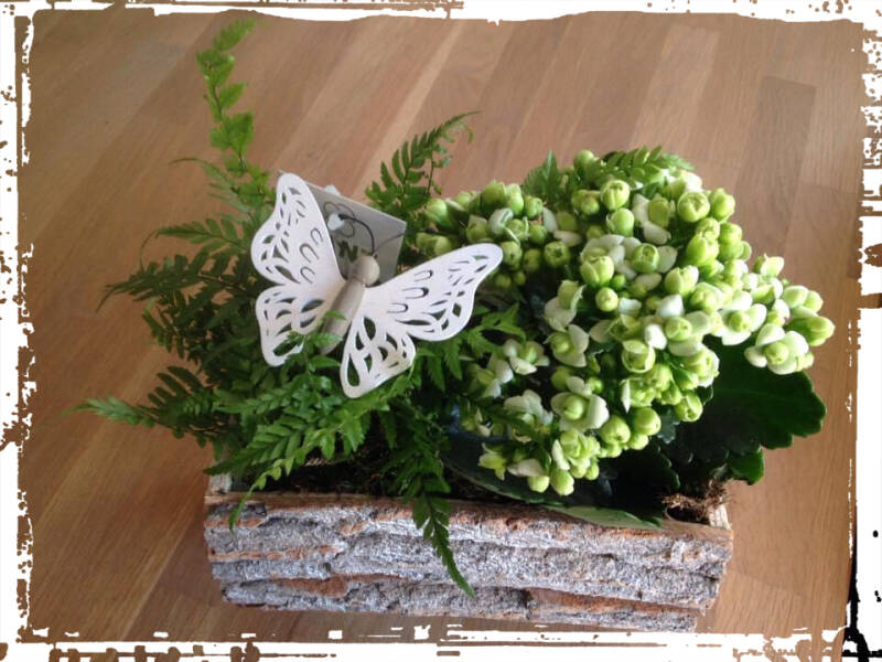 Ervaringen rondom autisme Partner relatie Valentijnsdag