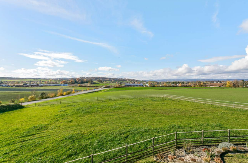 Pferdeweide Diessenhofen