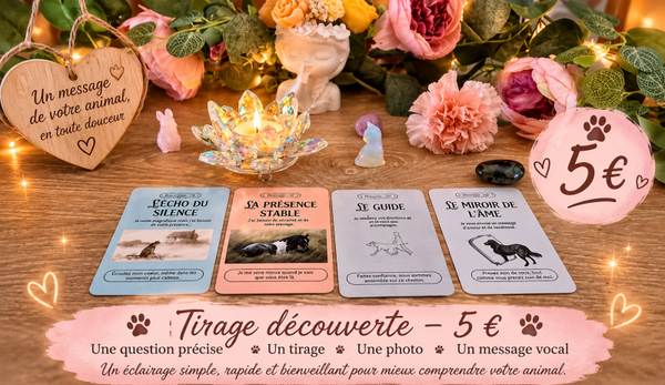 Tirage découverte
