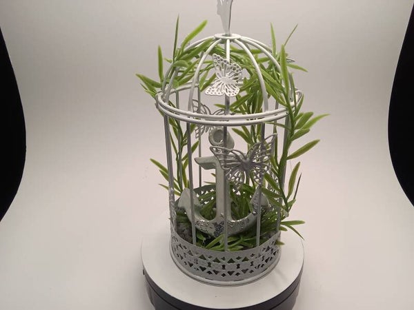 Gesteckt Käfig Anker