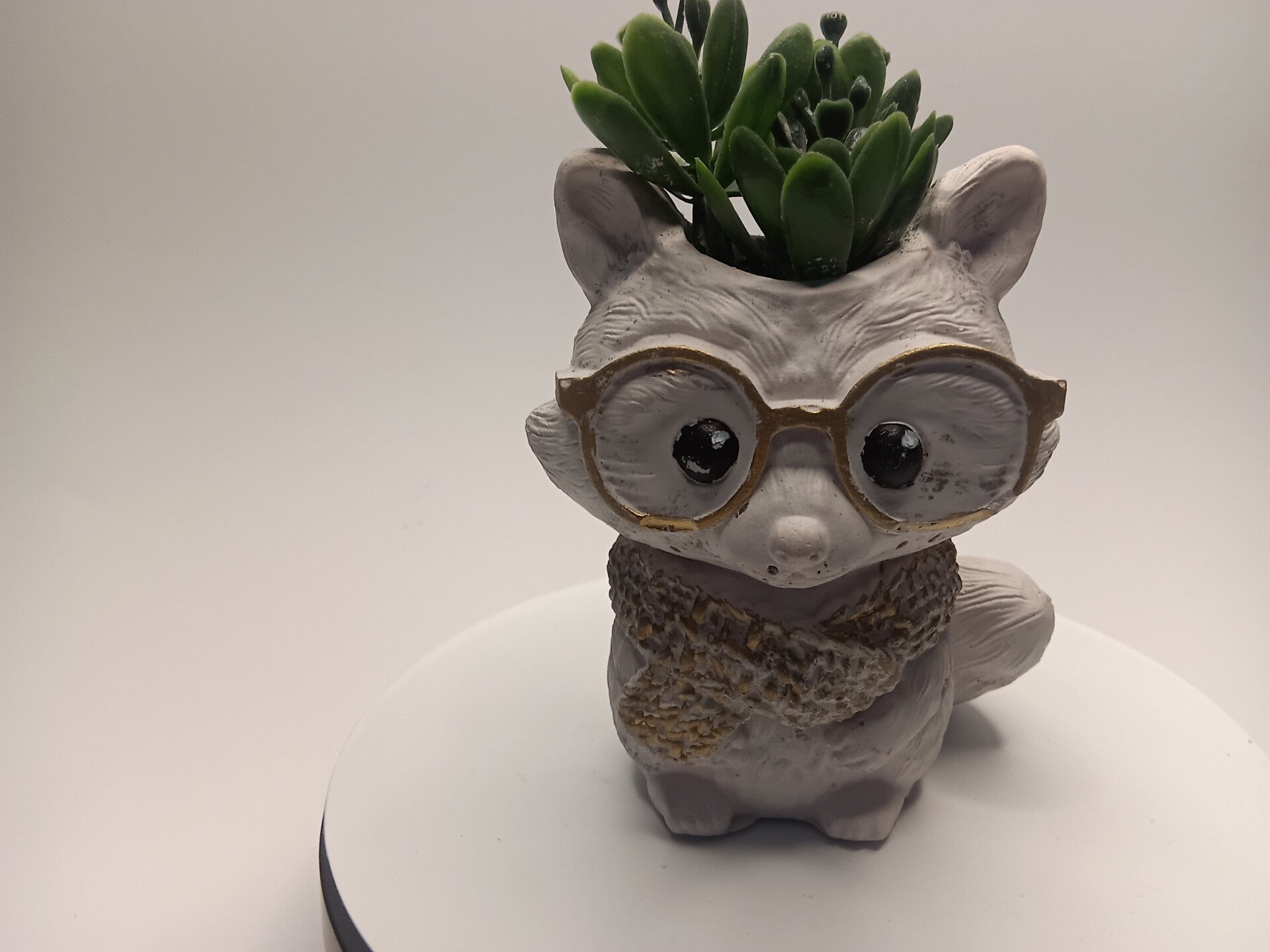 Gips Becher Fuchs mit Brille