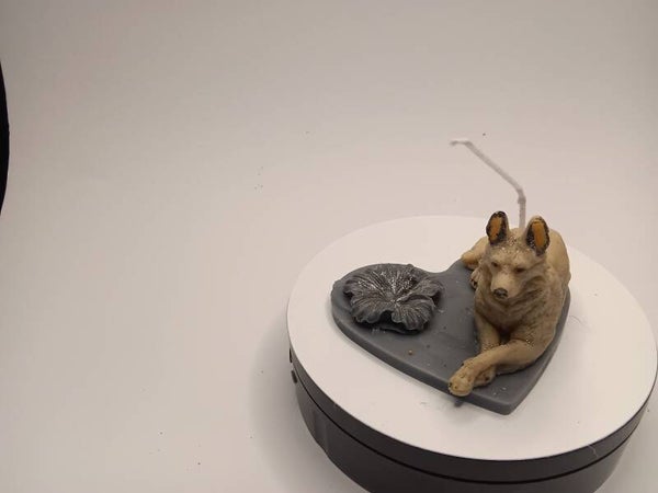 Platte zusammengestellt