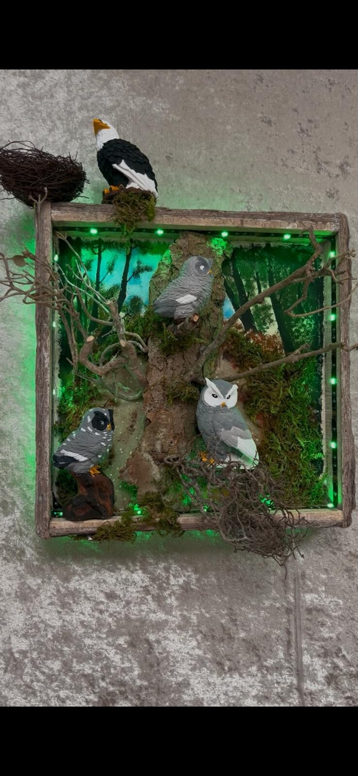 3D Eulenbild