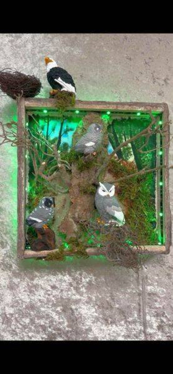 3D Eulenbild