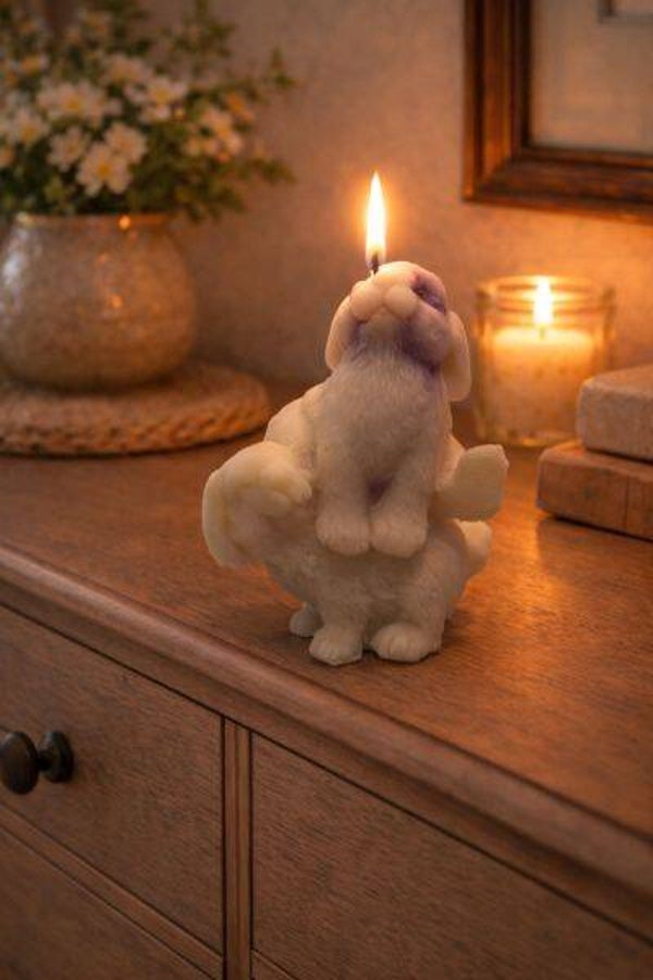 Hasen Hase Ostern