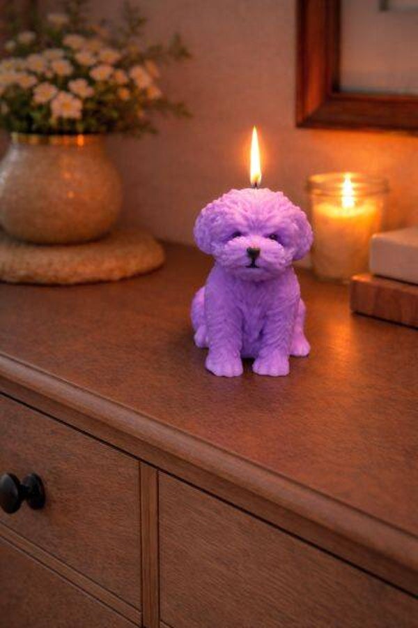 Hund Pudel