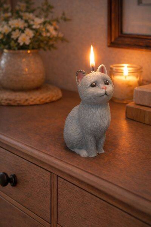 Katze