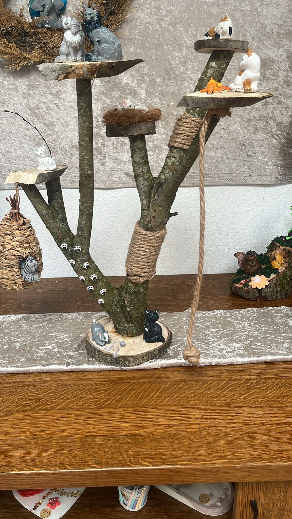 Katzenbaum