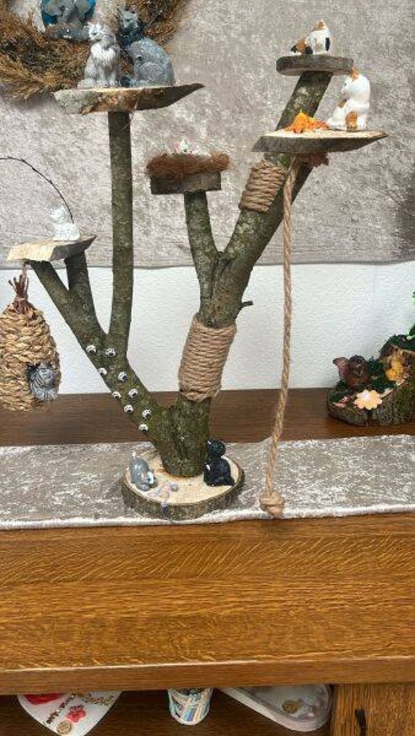 Katzenbaum