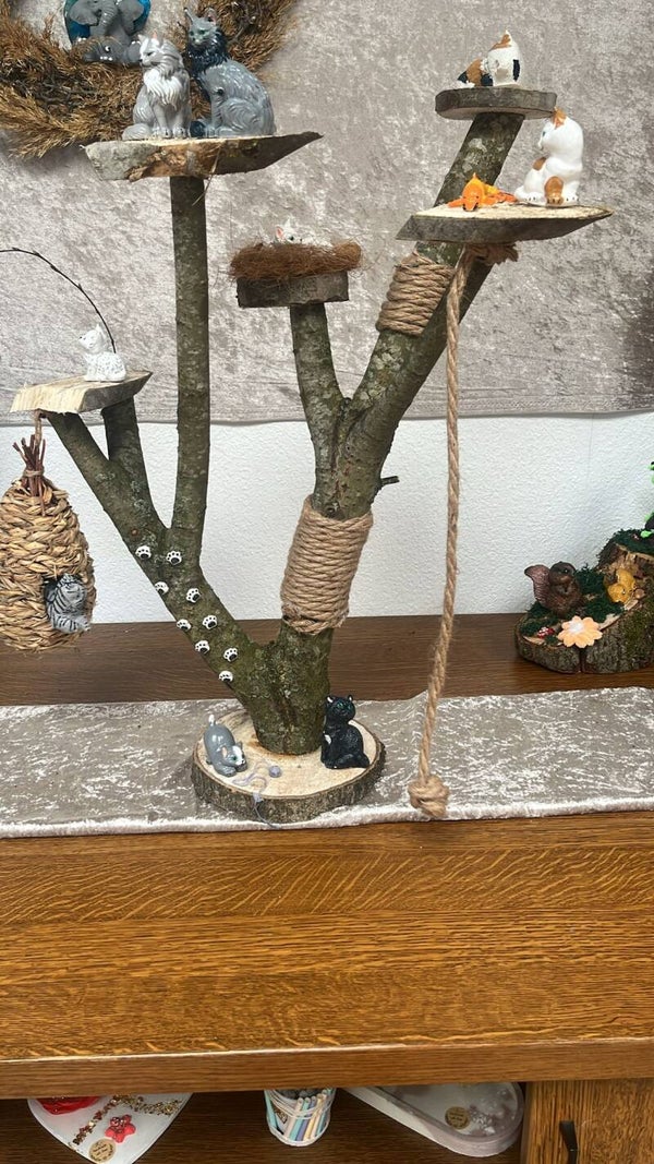 Katzenbaum