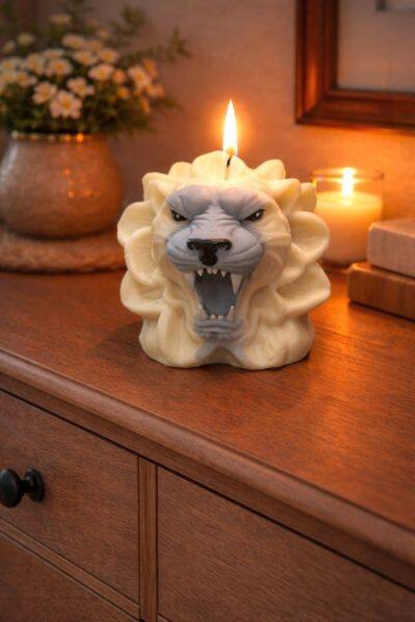 Löwenkopf Löwe Katze