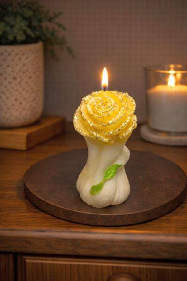 Rose Hand Blume Liebe