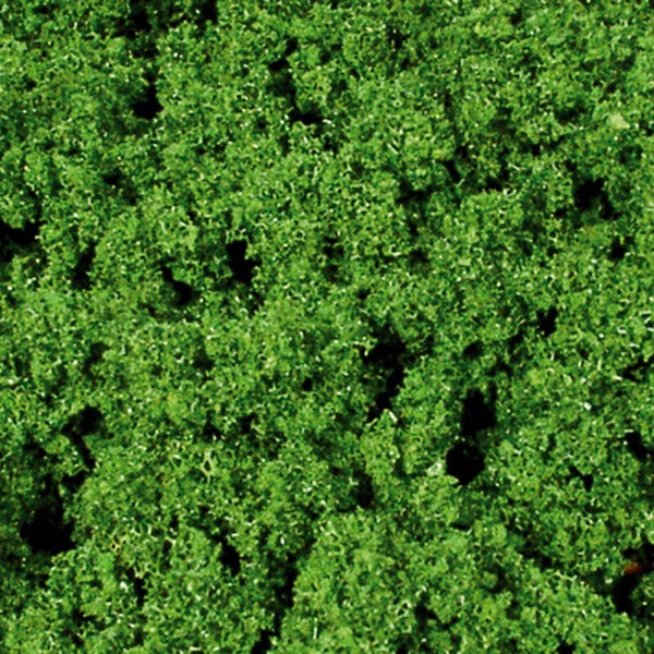 Heki 1540 donkergroene foliage