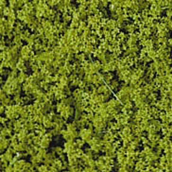 Heki 1550 lichtgroene foliage