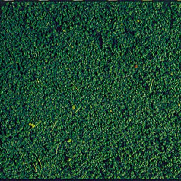 Heki 1603 mikroflor dennengroen