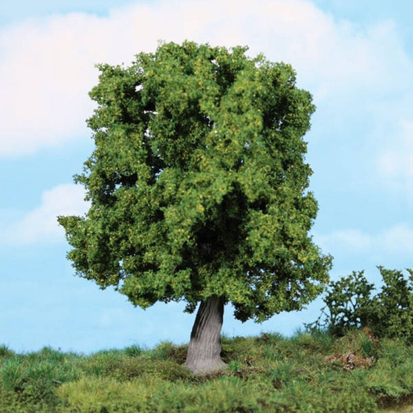 Heki 1945 knoestige Eik 18 cm