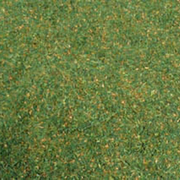 Heki 3383 loofvlokken bosbodem