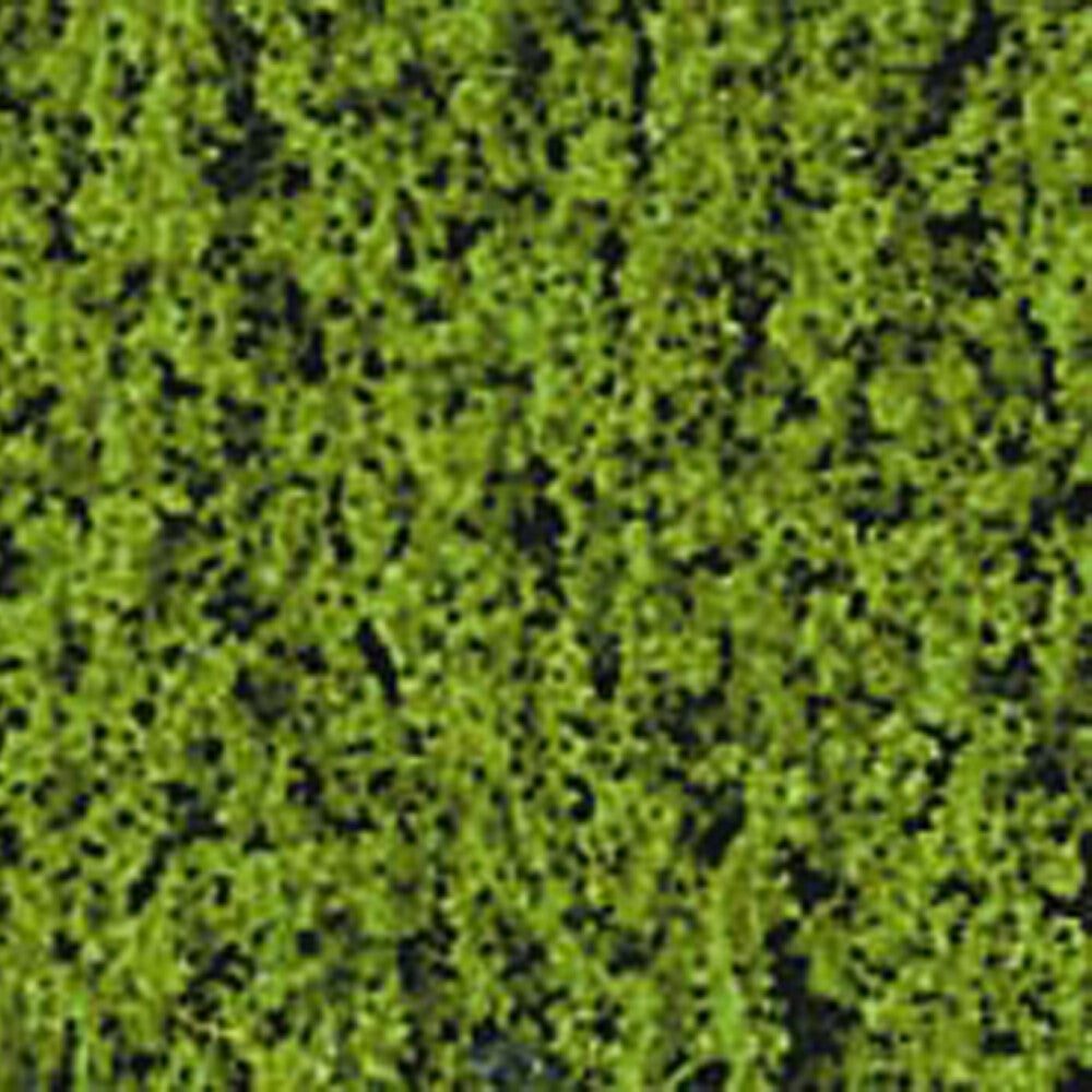 Heki 1554 voorjaarsgroene foliage