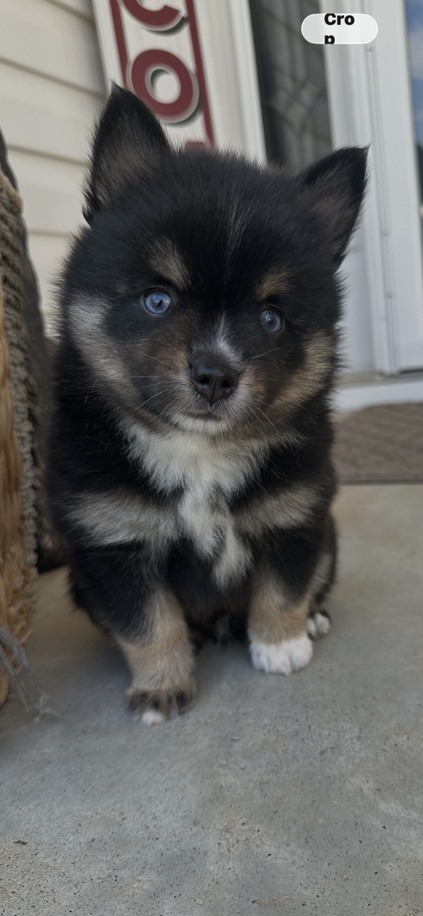 Kairo