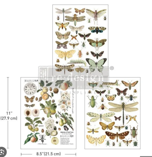 Bug Whisperer Transfer  | 21,6 x 28 cm