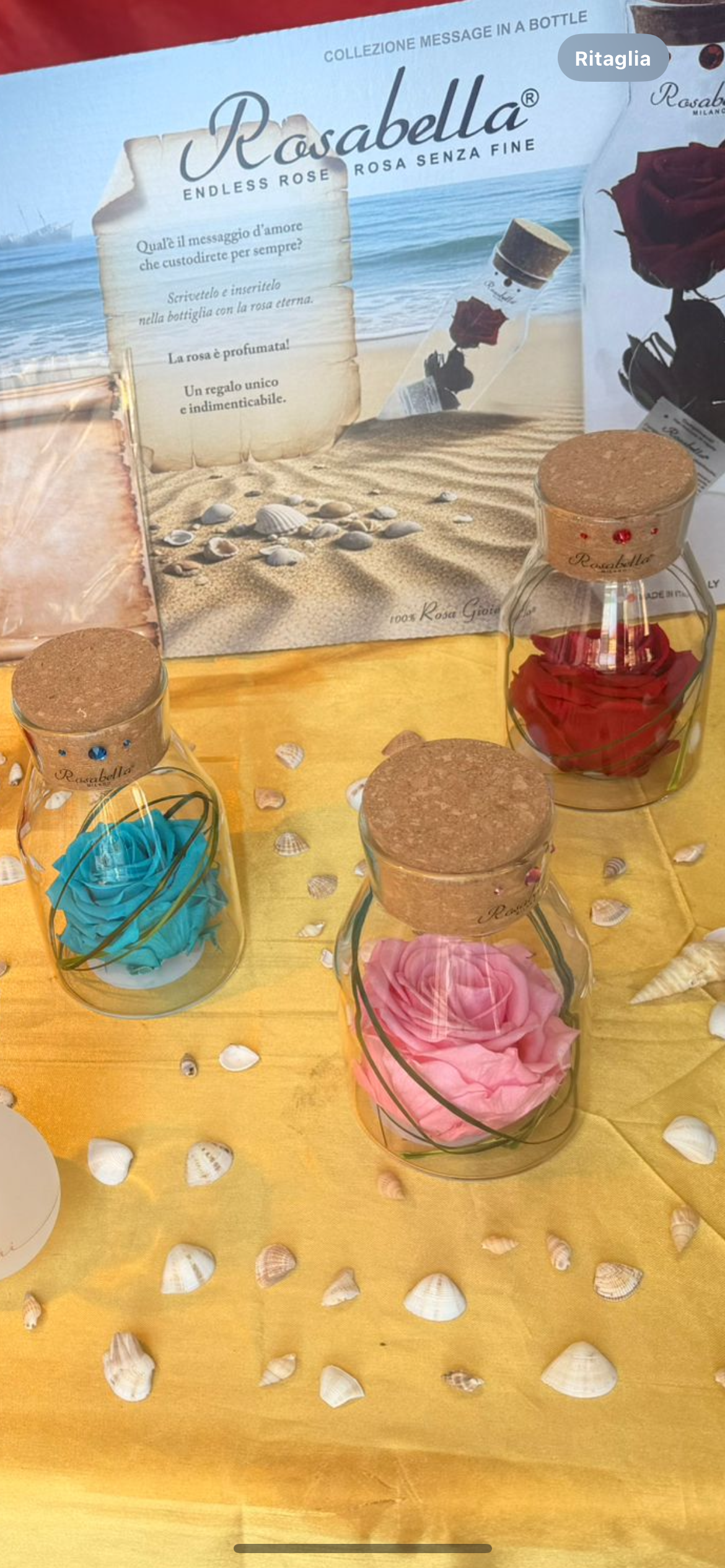 Rosa Gioiello rosa vera stabilizzata