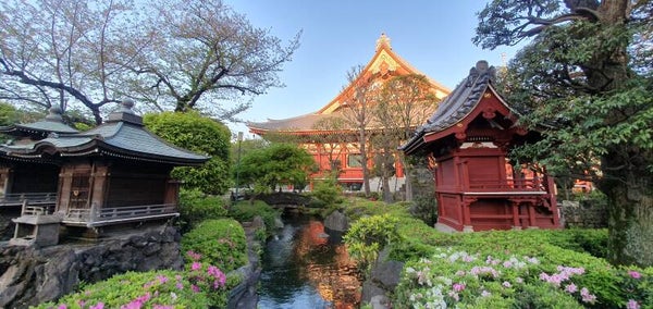 Japans 2 - start 02/02/26 (13 lessen)