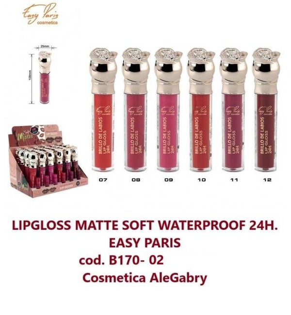 lipgloss matte soft Easy Paris