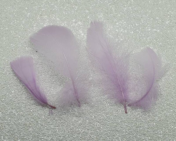 Veertjes lichtpaars pastel