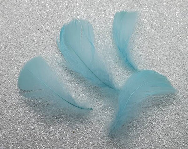 Veertjes lichtblauw pastel