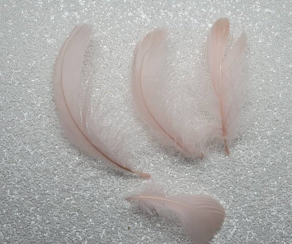 Veertjes zalmkleurig pastel