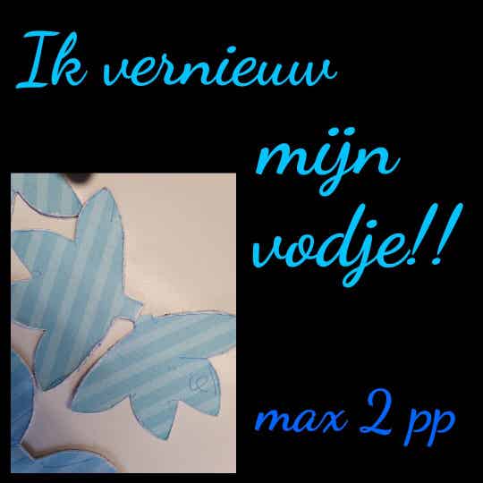 Ik vernieuw mijn vodje --> max 2 per persoon