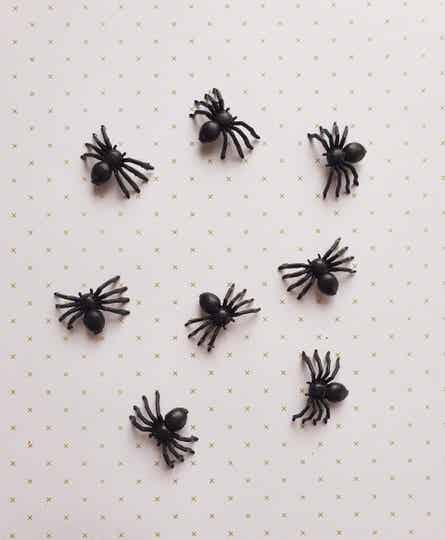 Spinnetje kromme poten