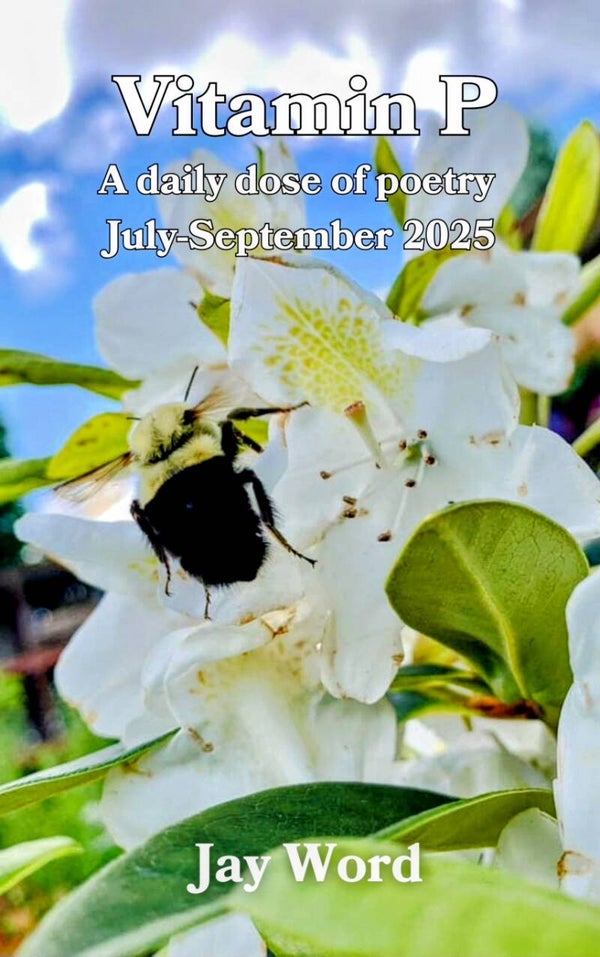 Vitamin P Book 3 PRE-ORDER