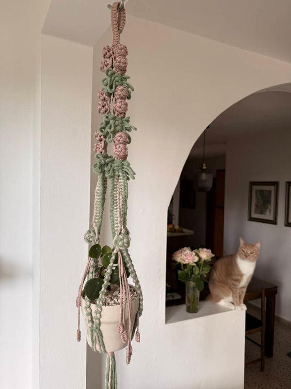 Rose Plant Hanger