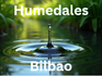 humedalesbilbao