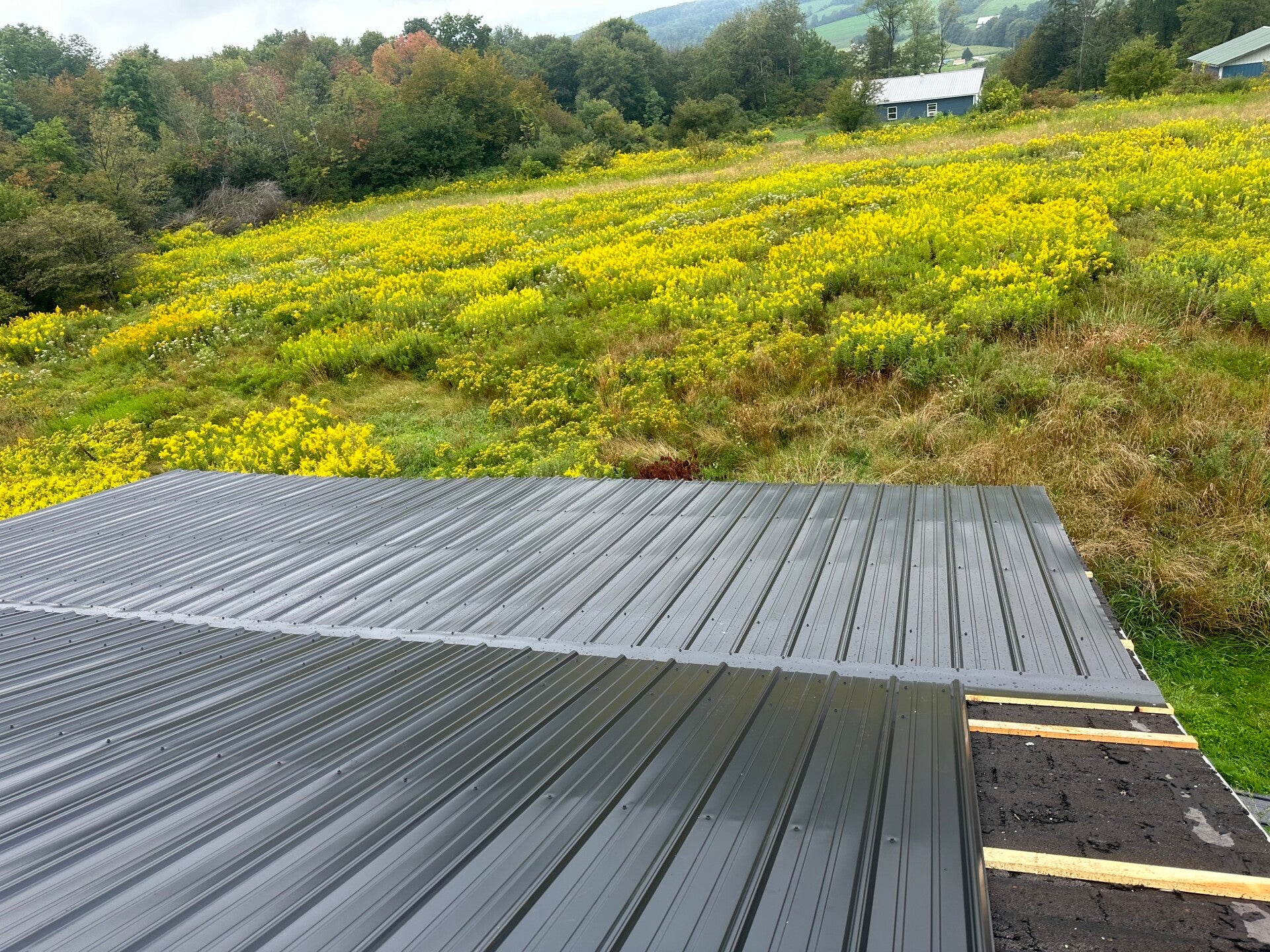 img_0767-standard.jpg
