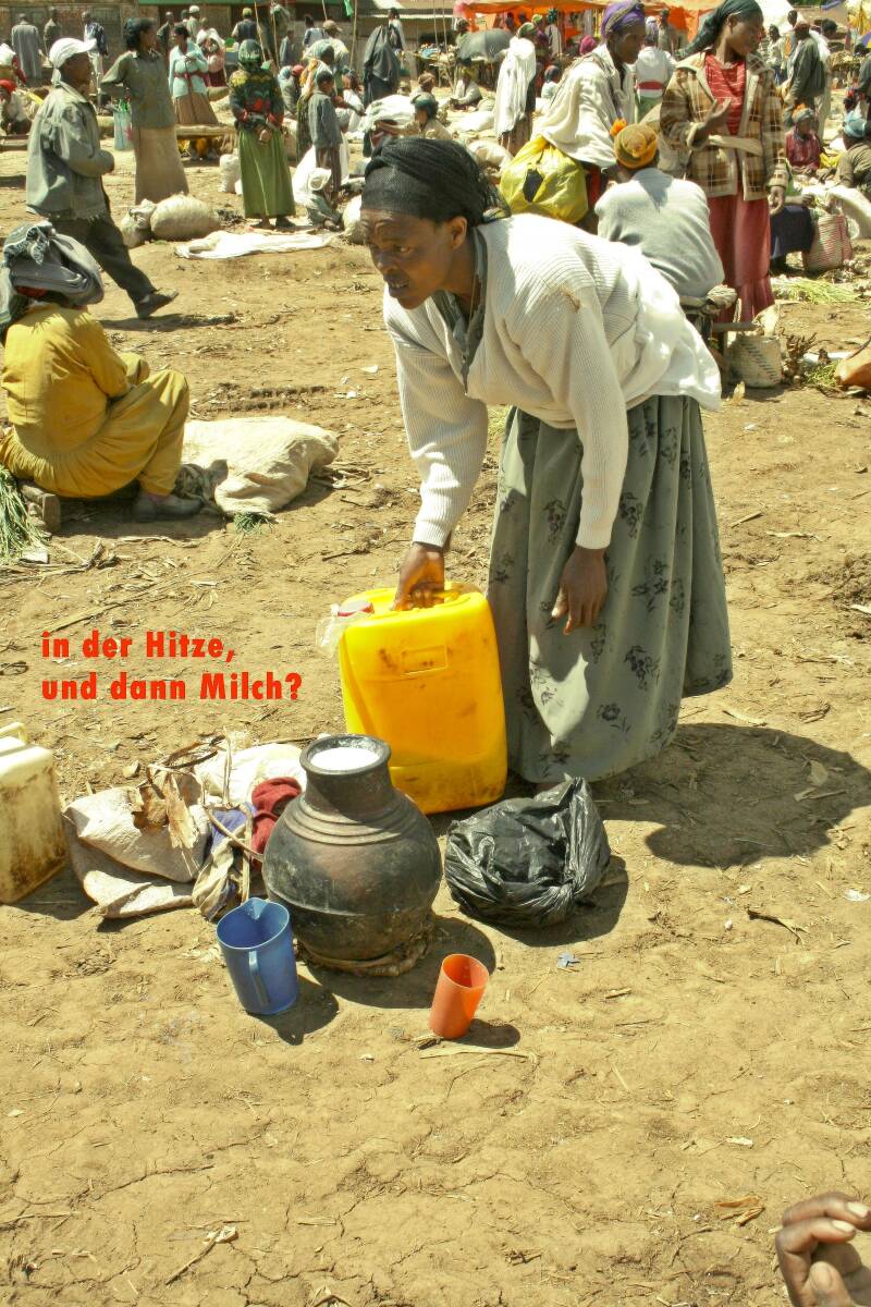 Milch in Kalebassen zum Markt gebracht 
