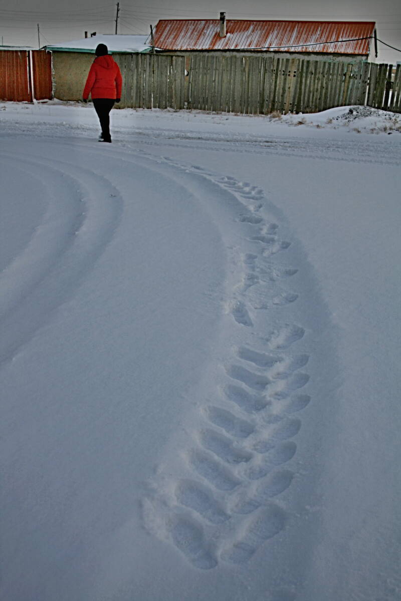 Spuren im Schnee