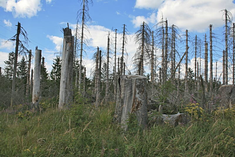 die zu so einem Anblick führte