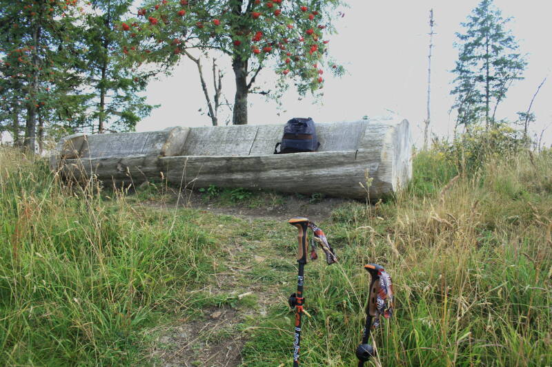 das "Doppelsofa" aus einem Baumstamm