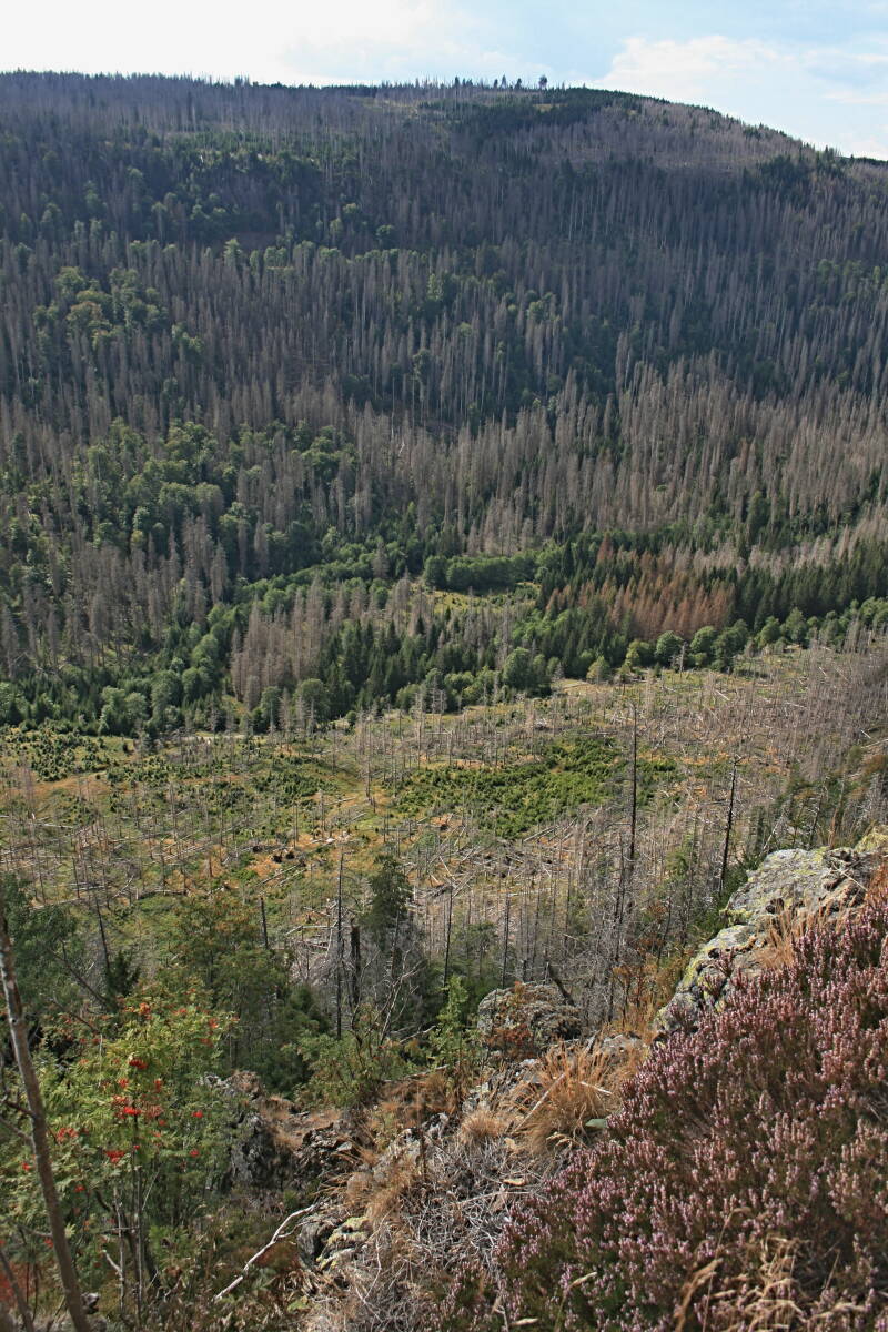 Blick ins Hahnenkleetal