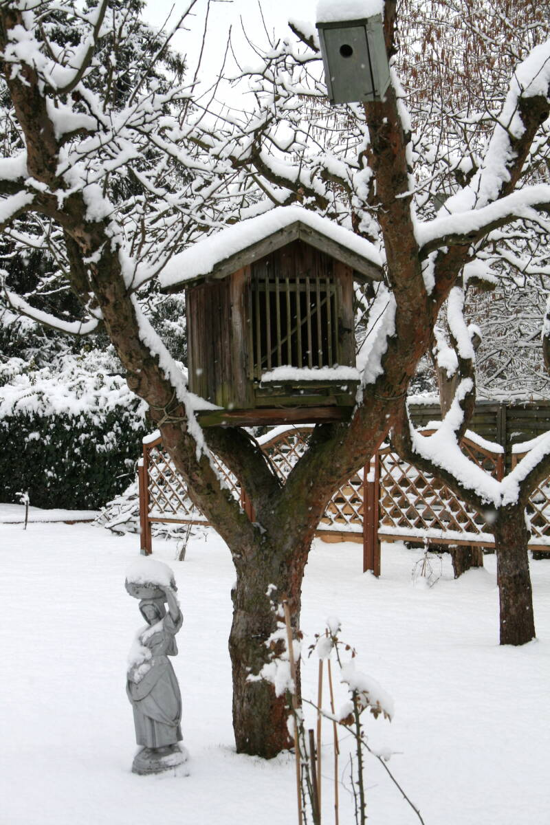 jetzt mit Schneehaube