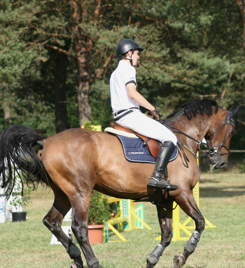 Auf-oder Abgalopp