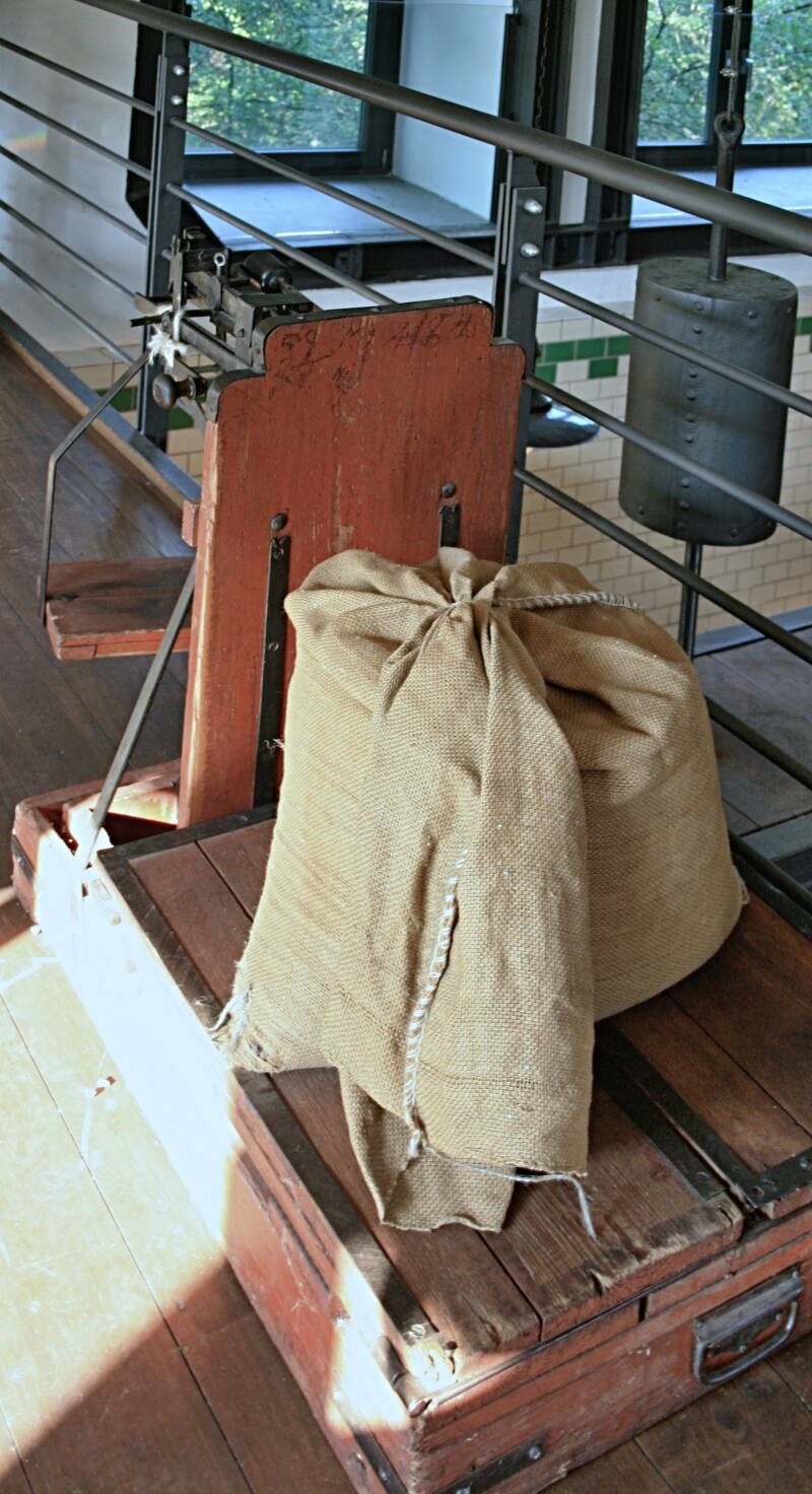  das Grundmaterial für das Bier: Gerste