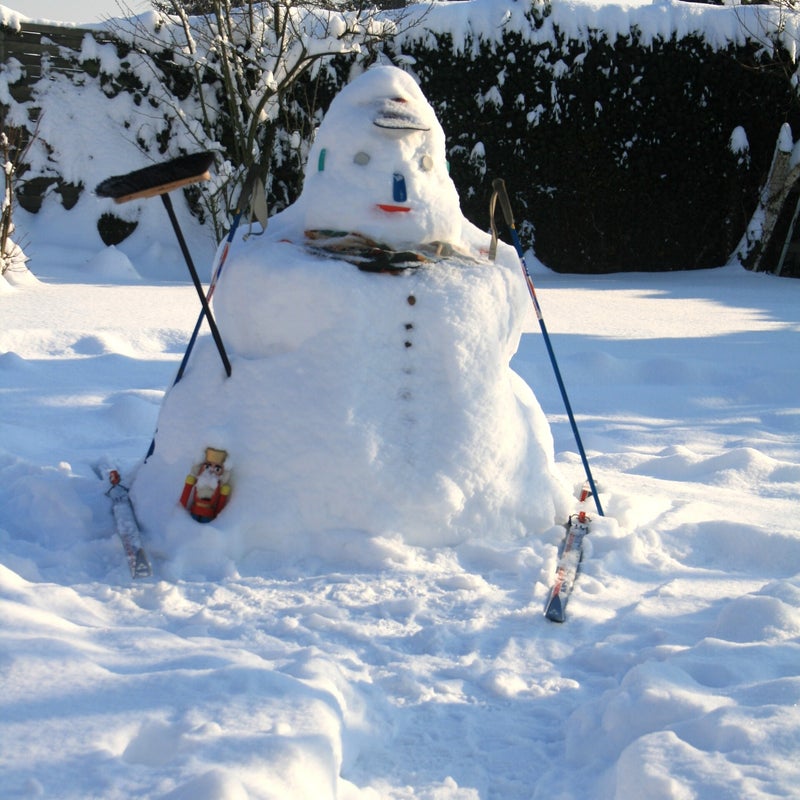 und dahinter im Garten